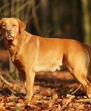 Tanja Wiedenmann Bild 11