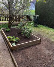 LEAF PAYSAGE image 3