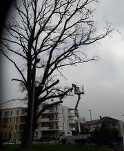 Lacroix David image 5