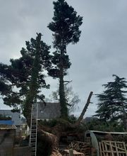 PAUL Elagage image 6