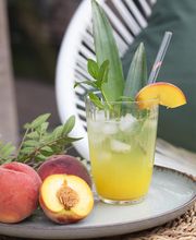 starckswelt.de Bild 19