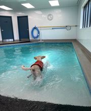 Independence Veterinary Clinic image 19