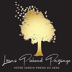 Lucas Pichenot Paysage