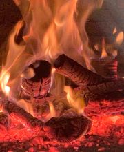 Gallery Professionale