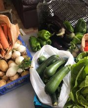 L'Amie Louche image 6