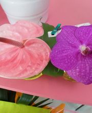 Aux Fleurs de l'Aulne image 7