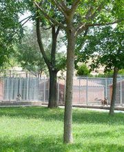 residencia-canina_la_yosa.jpg