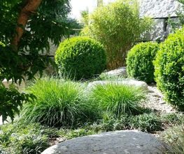 VITA VERDE AG Bild 3