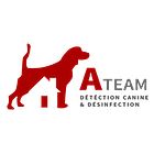 A-Team Désinfection