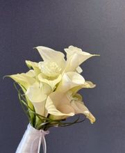 Blumen Hertweck Bild 6