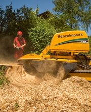 Henzelmann's Baumpflege AG Bild 7