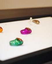 Lennartz Hörakustik GmbH Bild 4