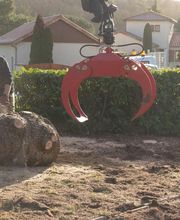 Philippe Joyeux Elagage image 2