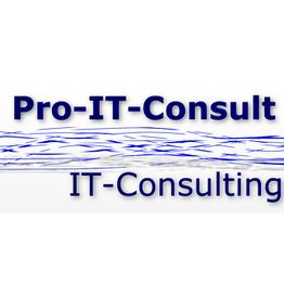 Pro-IT-Consult e.K. logo
