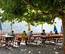 Plan-Cerisier Bild 1