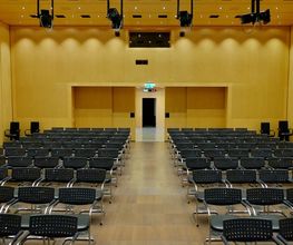 Business Center Bellinzona Bild 2