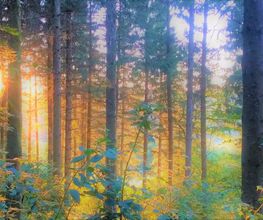 Nature Sophro image 2