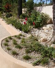 Iris Jardin image 5