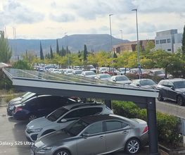 22134381-2-auDbiwBp9O1768250494946.jpeg