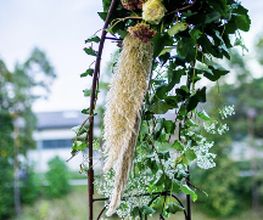 Casa Flora AG Bild 6