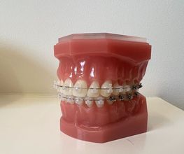 YLC ORTHODONTIE SA Bild 3