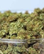 Marry Jane Genève | CBD Shop