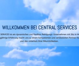 Central-Services Reinigungen Bild 2