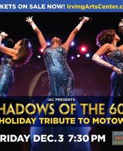 Irving Arts Center image 6