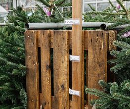 Garten-Center Spiering GmbH Wesel Bild 75