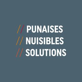 Punaises Nuisibles et Solutions