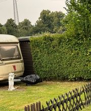 Gartenservice Hahn Bild 14