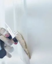 Progyps Immo SA Bild 1