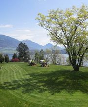 Schneider Erich Bild 5