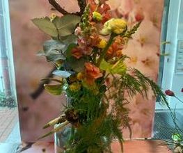 Blumen Dahlmann Bild 20