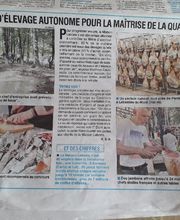 Au Paradis du Cochon image 3