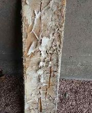 P2H Préservation Hygiène Habitat image 3