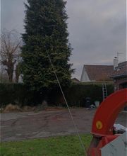 Arbres Verts Outters Outters Xavier image 5