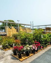 Mr.Bricolage Lubersac image 7