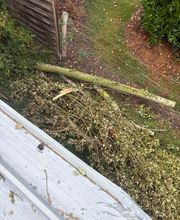 Sabas Couverture image 5