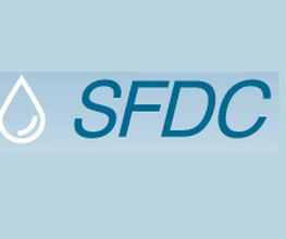 Sfdc image 4