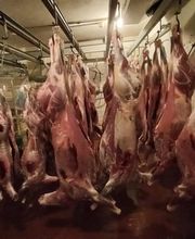 Berni's Metzg Bild 3