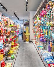 Arcaplanet immagine 1