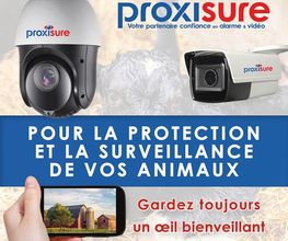 PROXISURE image 10