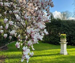 Der Garten des Boutique Hotel Rosengarten Hamburg