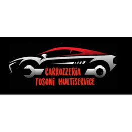 Carrozzeria Tosoni Multiservice - Carrozzeria a Bresso logo