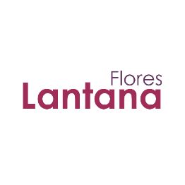 logo-flores.PNG