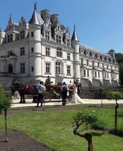 Le Haras De Muralis image 20