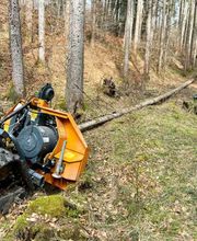 BICHLMEIER Landschaftspflege Bild 4
