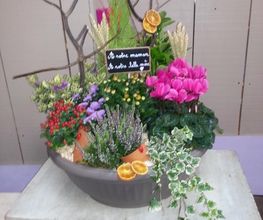 A Fleur De Pot image 17