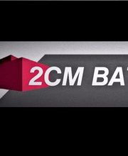 2CM Bat' image 1
